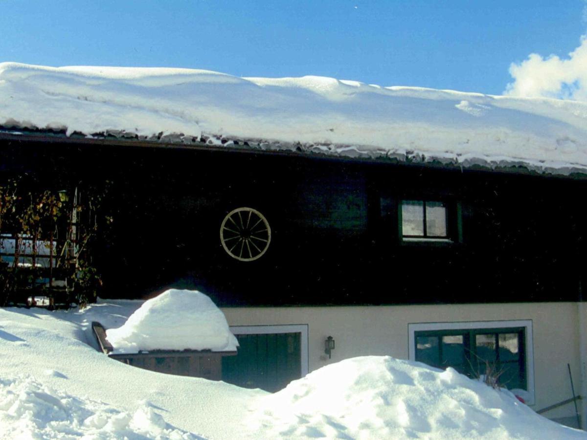 Chalet In Leogang Salzburg With Garden 외부 사진